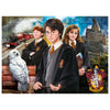 Clementoni Harry Potter Puzzle 1000 pz Televisione/film