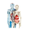 Scienza & Gioco - Il Corpo Umano - Gioco didattico per bambini