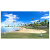 Sony Everybody's Golf VR, PS4 Standard Inglese PlayStation 4