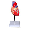 Modello Cuore Linea ''Value'' - 2 Parti - 1X - 1 Pz.