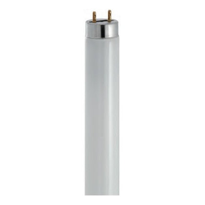 Fluo T8 Trimax - Lampadina tubo fluorescente - 36W G13 - Bianco
