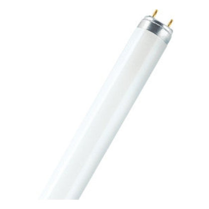Lumilux T8 lampada fluorescente 36 W G13 A+ Bianco caldo