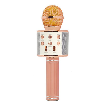 Hollywood Rose Gold, Argento Microfono per karaoke