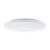 EGLO 97738 illuminazione da soffitto Argento, Bianco