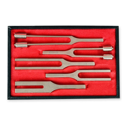 Trousse Diapason Lega - 5 Pezzi - 1 Pz.