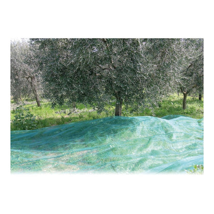 Rete con Occhielli per Raccolta Olive Antispine - Rotolo 6x100 metri