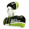 BLACKHAWK PRO II - Guanti boxe - nero