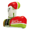 BLACKHAWK PRO II - Guanti boxe - 10 oz