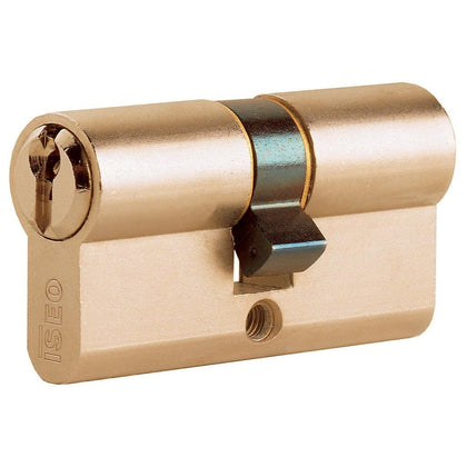Cilindro sagomato con 3 chiavi - Lunghezza 60 mm - Misura 25.10.25 mm - 8209303074